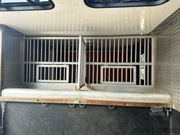 Isuzu N62.150 2 Pferde, 7 eingetragene Sitzplätze