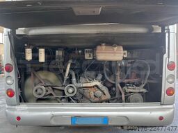 Iveco Domino