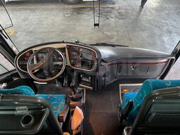 Iveco Domino