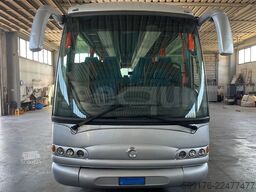 Iveco Domino