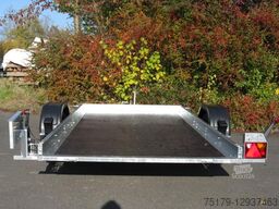 Neptun Uni kippbar Anhänger 305x166cm