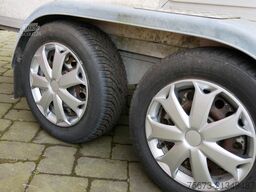  Hundeanhänger 6 Hunde WT Metall