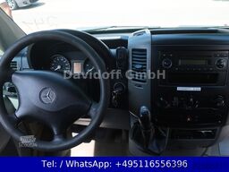 MERCEDES-BENZ Nr.241 Sprinter 311CDI AHK / Fahrtenschreiber