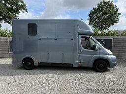 Citroën Jumper | HORSETRUCK | MVV | COMPETITION 3XL | 2...