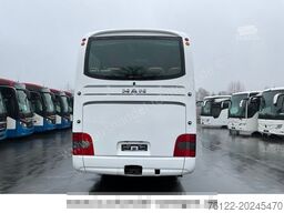 MAN R09 Lion?s Coach/516/Travego/Tourismo/Neulack