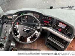 MAN R09 Lion?s Coach/516/Travego/Tourismo/Neulack