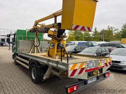 Renault Midlum 190 **WORKING PLATFORM-NACELLE**