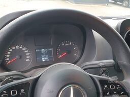 Mercedes-Benz 319 CDI lang