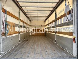 Renault D Wide 380 Edscha/Bordwand/LBW/Eu6d