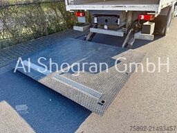 Renault Edscha/Bordwand/LBW/Eu6d