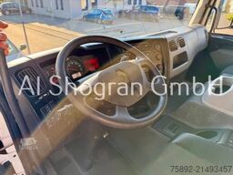 Renault Edscha/Bordwand/LBW/Eu6d