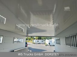 WST Edition Voll ALU