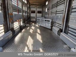 MENKE-JANZEN Menke 3 Stock | Hubdach | Tränken