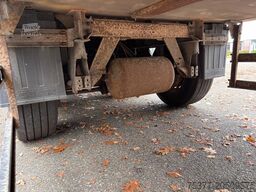 Schmitz Cargobull SKO 24, Carrier Vector,  SAF Disc 260 Hoch,