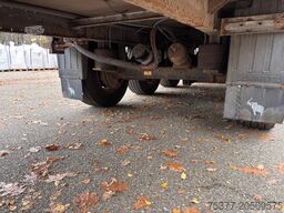 Schmitz Cargobull SKO 24, Carrier Vector,  SAF Disc 260 Hoch,