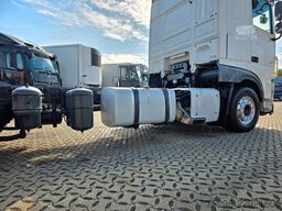 DAF XF 450 FAN |  Intarder | Alu-Felgen | Lenkachse
