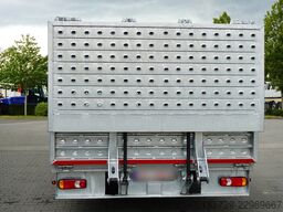 Renault D16 / NEW GALVANIZED TOW TRUCK 715 cm