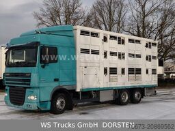 DAF XF 105/460T KABA 3 Stock Vollalu