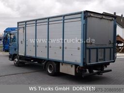 MAN TGL 10.210 1 Stock Viehtransporter