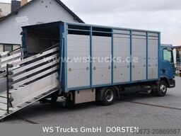 MAN TGL 10.210 1 Stock Viehtransporter