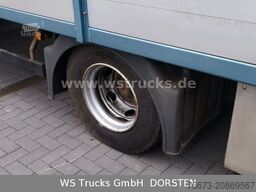 MAN TGL 10.210 1 Stock Viehtransporter