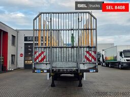 FLIEGL SDS 390 / Liftachse