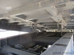 CARNEHL CHKS/A | Carnehl CHKS/A | KIPPER | TIPPER | HOLL