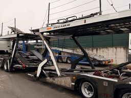 SCANIA P410 + Rolfo FLX + Pegasus, 2 units