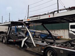 SCANIA P410 + Rolfo FLX + Pegasus, 2 units