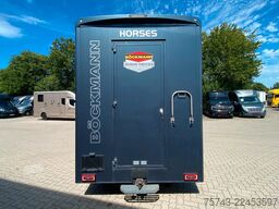 FIAT Ducato Böckmann 2 Pferdetransporter