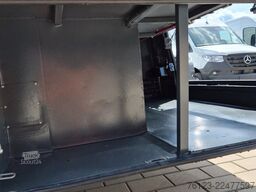 TEMSA 8 units Prestij SX,Novo Lux, Daily, Atego
