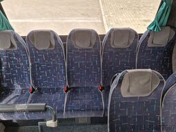 TEMSA 8 units Prestij SX,Novo Lux, Daily, Atego