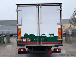 MERCEDES-BENZ Atego 1224 L Kühlkoffer/ThermoKing V600/Klima