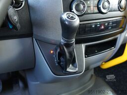MERCEDES-BENZ Sprinter 313 CDi L2H2 Triflex Air Rollstuhl 95KW