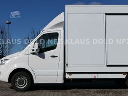 MERCEDES-BENZ Sprinter III 419 CDI Autotransporter Moetefindt