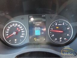 MERCEDES-BENZ Sprinter Aveuro 517 CDI - 21 Sitze EURO 6