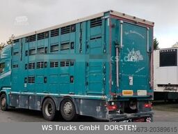 SCANIA R 490 Topline Menke 4 Stock Hubdach | Retader