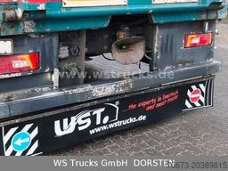 SCANIA R 490 Topline Menke 4 Stock Hubdach | Retader