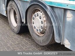 SCANIA R 490 Topline Menke 4 Stock Hubdach | Retader