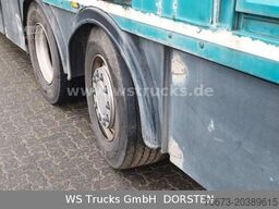 SCANIA R 490 Topline Menke 4 Stock Hubdach | Retader