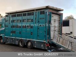 SCANIA R 490 Topline Menke 4 Stock Hubdach | Retader