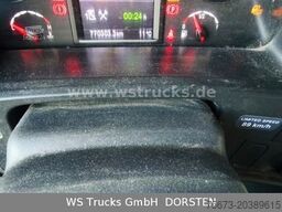 SCANIA R 490 Topline Menke 4 Stock Hubdach | Retader