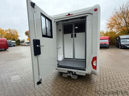 RENAULT Master STX  Haras AUTOM. NEW MODEL 2025