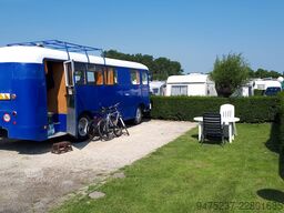 Büssing TU 55