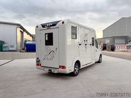 Renault Master Pferdetransporter  5 Sitzer Automatik