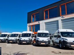 2 x Opel Movano, 3 x Fiat Ducato 18 Sitzer Jumpe