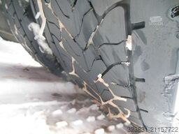 SCANIA S 450, VOLL LUFT, RETARDER, STANDKLIMA, TOP!!!