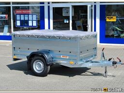 NEPTUN Rustik N13-236 (N13-253)