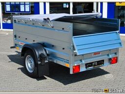 NEPTUN Rustik N13-236 (N13-253)