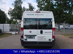 FIAT NrA107 Ducato L4 2.Hand / MAXI / 3 Sitzer